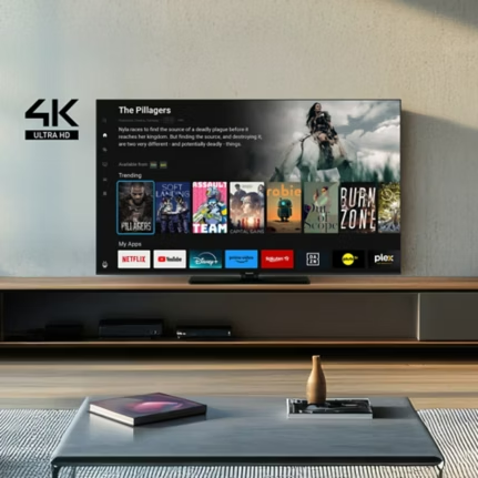 TV 55'' 4K UHD Tivo Gamme W61A