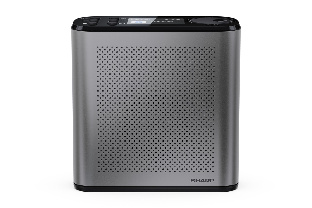 [DR-P530(GY)] OSAKA Radio numérique portable - Gris orage