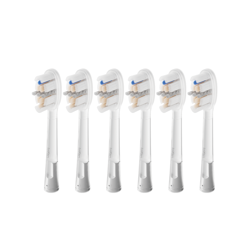 Têtes de brosse Pro SS Pack de 6